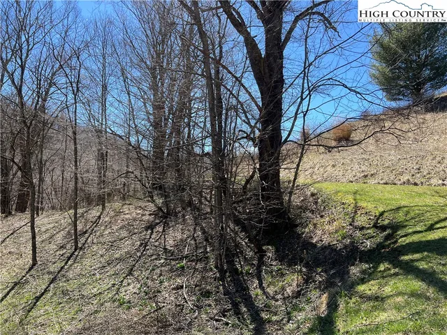 $89,000 | Lot 23-24 Cristina Lane, Vilas, NC 28692