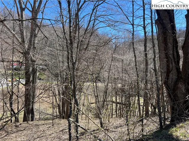 $89,000 | Lot 23-24 Cristina Lane, Vilas, NC 28692