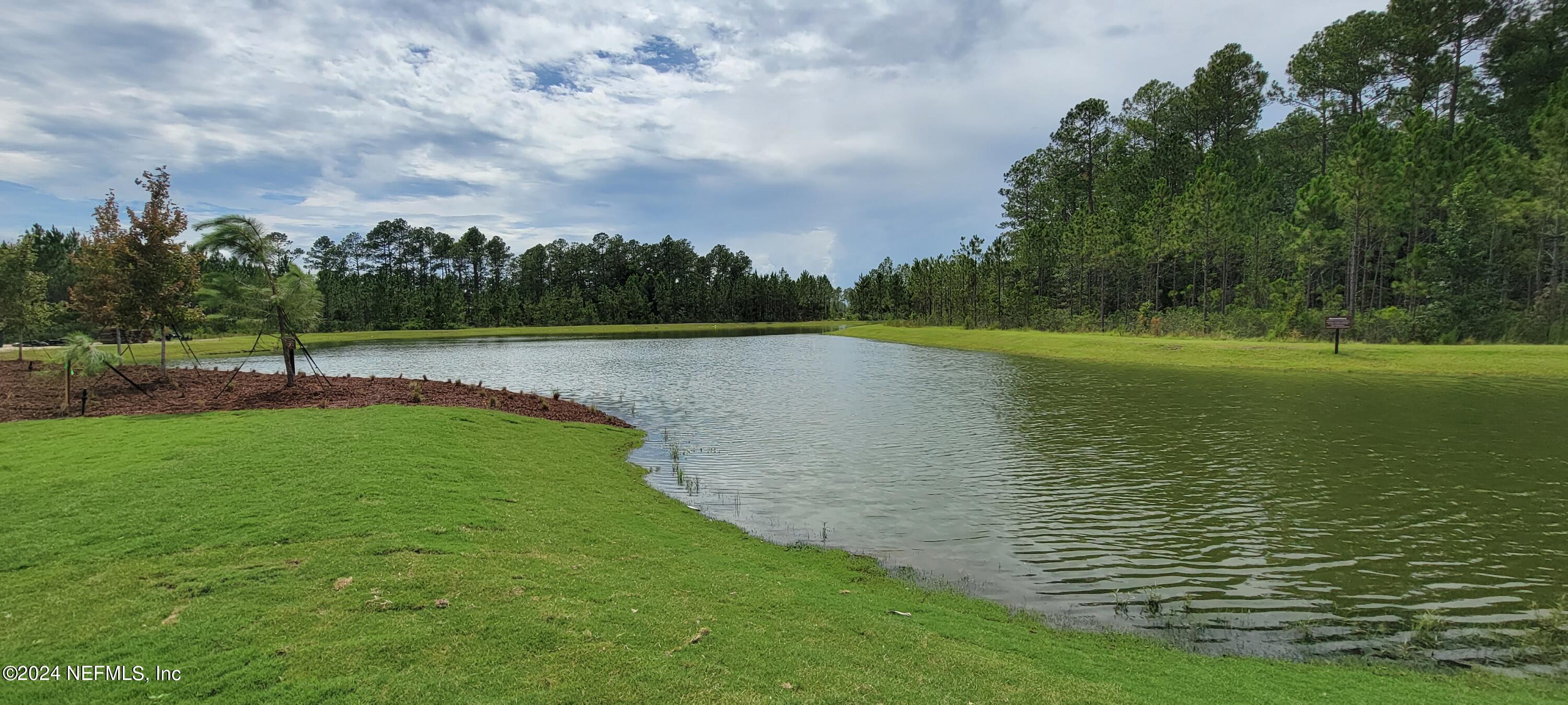 75232 Plumbago Trace Yulee, FL 32097 - Photo 67 of 79 a view of a lake with a big yard
