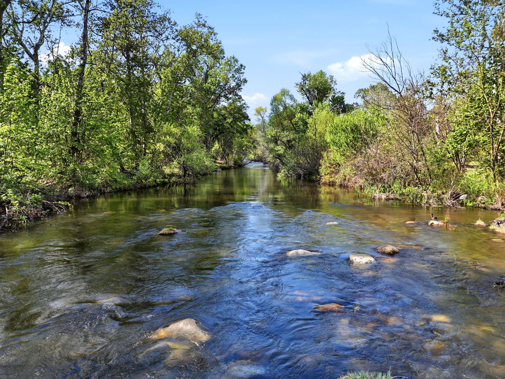 Three North Kaweah River Drive Three Rivers, CA 93271 - Photo 3 of 22 4-42490_N_Kaweah_River_Dr_003