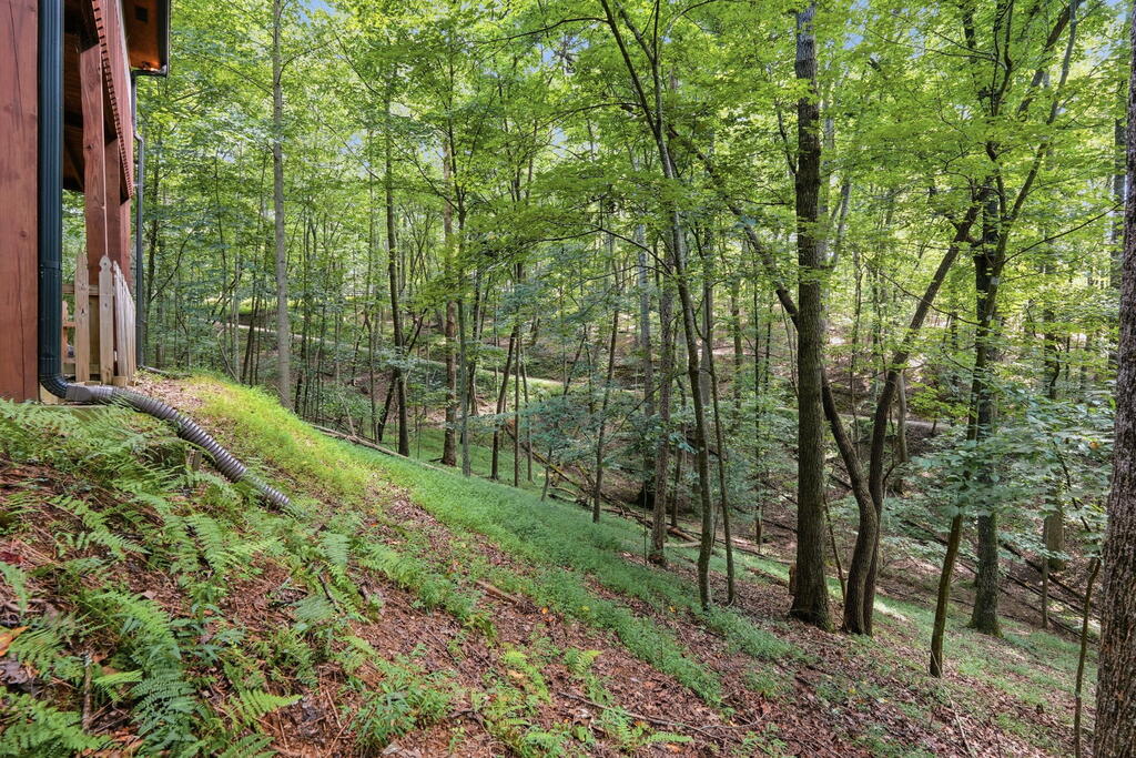 288 Ridgecrest Circle Ellijay, GA 30540 - Photo 50 of 68 Gallery Image 50