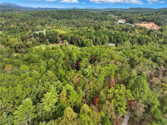 a view of a bird bath
