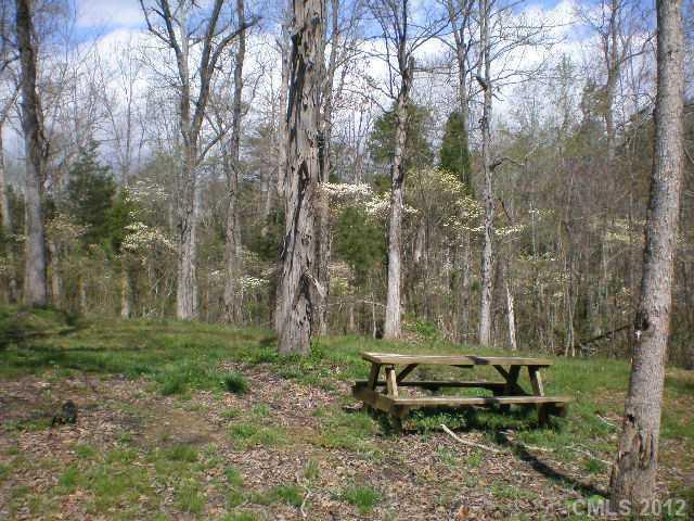 Lot 1 Sisk-Carter Road Rockwell, NC 28138 - Photo 11 of 12