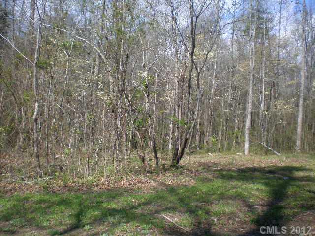 Lot 1 Sisk-Carter Road Rockwell, NC 28138 - Photo 9 of 12