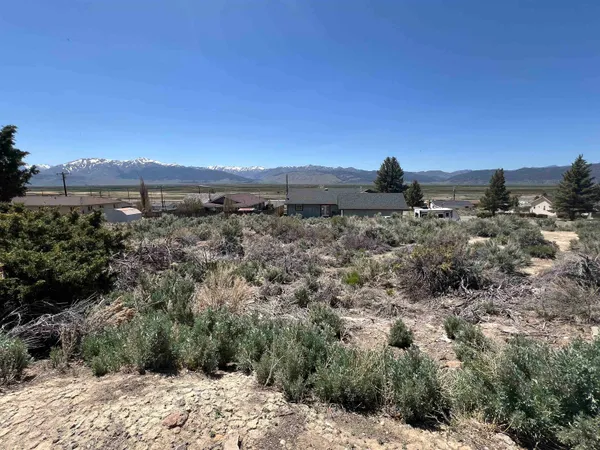 a view of a yard with a mountain