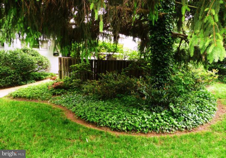 6202 Ivymount Road Baltimore, MD 21209 - Photo 14 of 30 6202 Ivymount Rd..