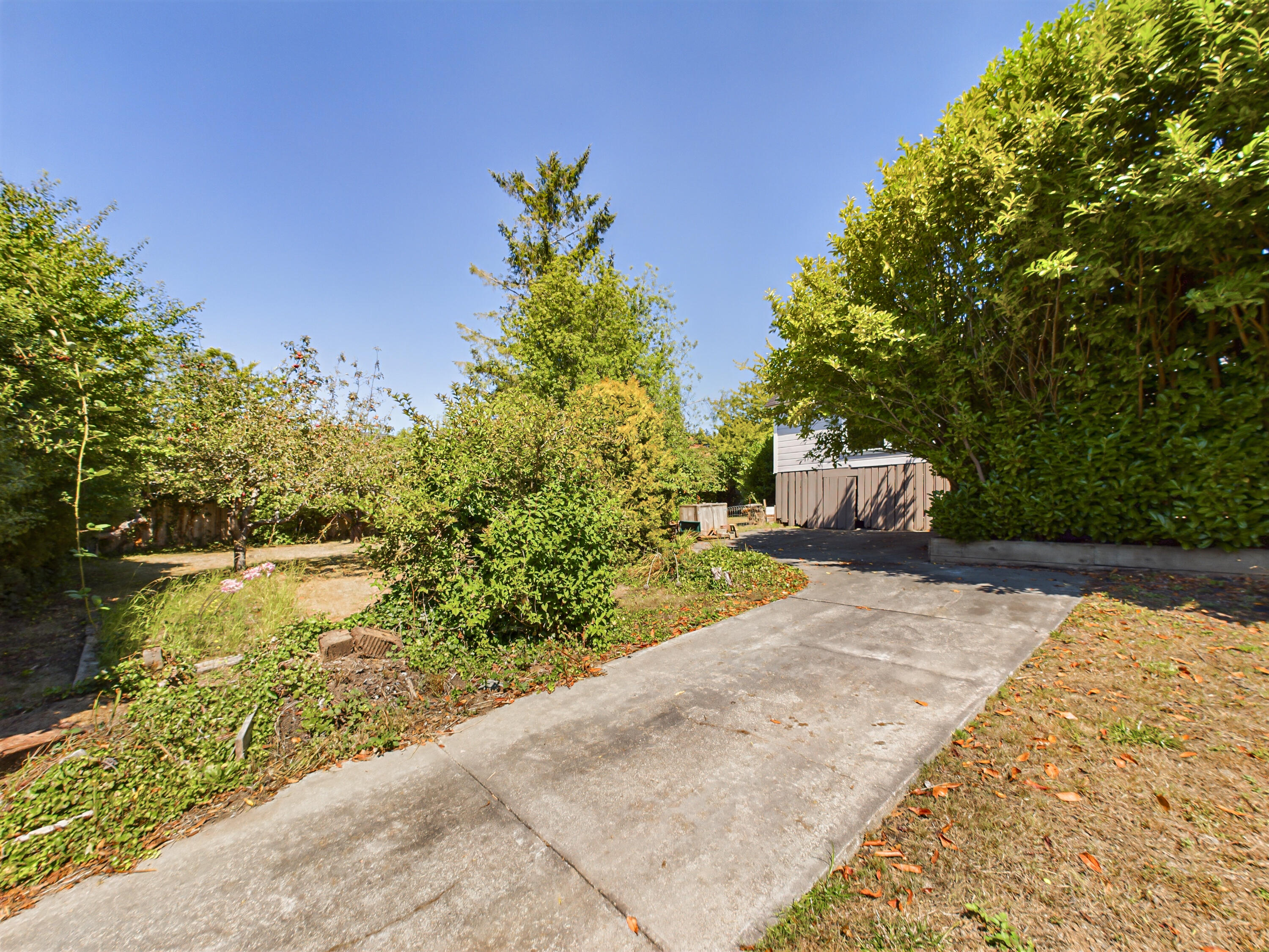 947 Union Street Arcata, CA 95521 - Photo 37 of 50