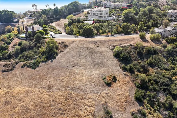 a view of a dry yard covered with trees
