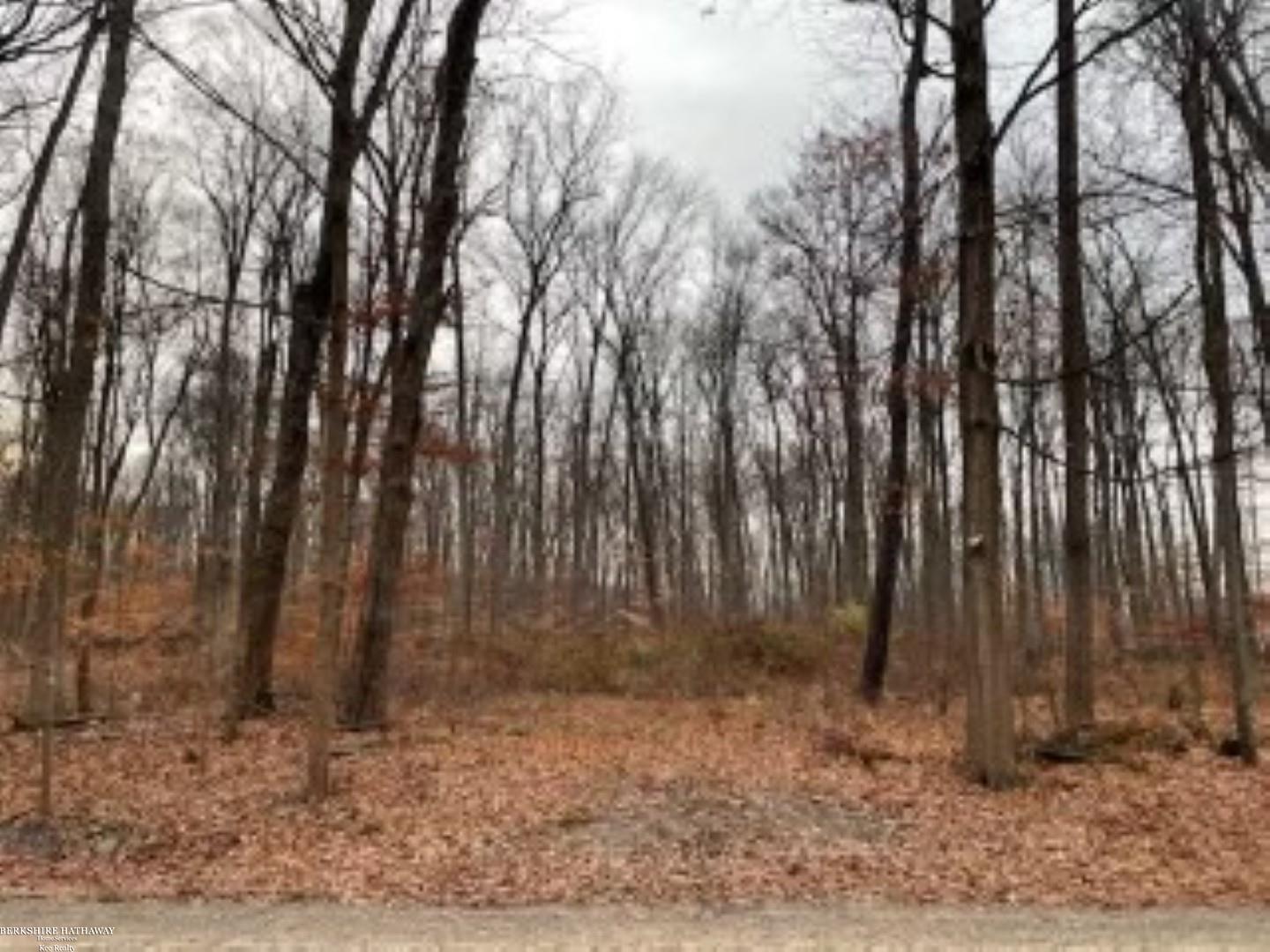 0 Kunstman Road Ray, MI 48096 - Photo 1 of 6