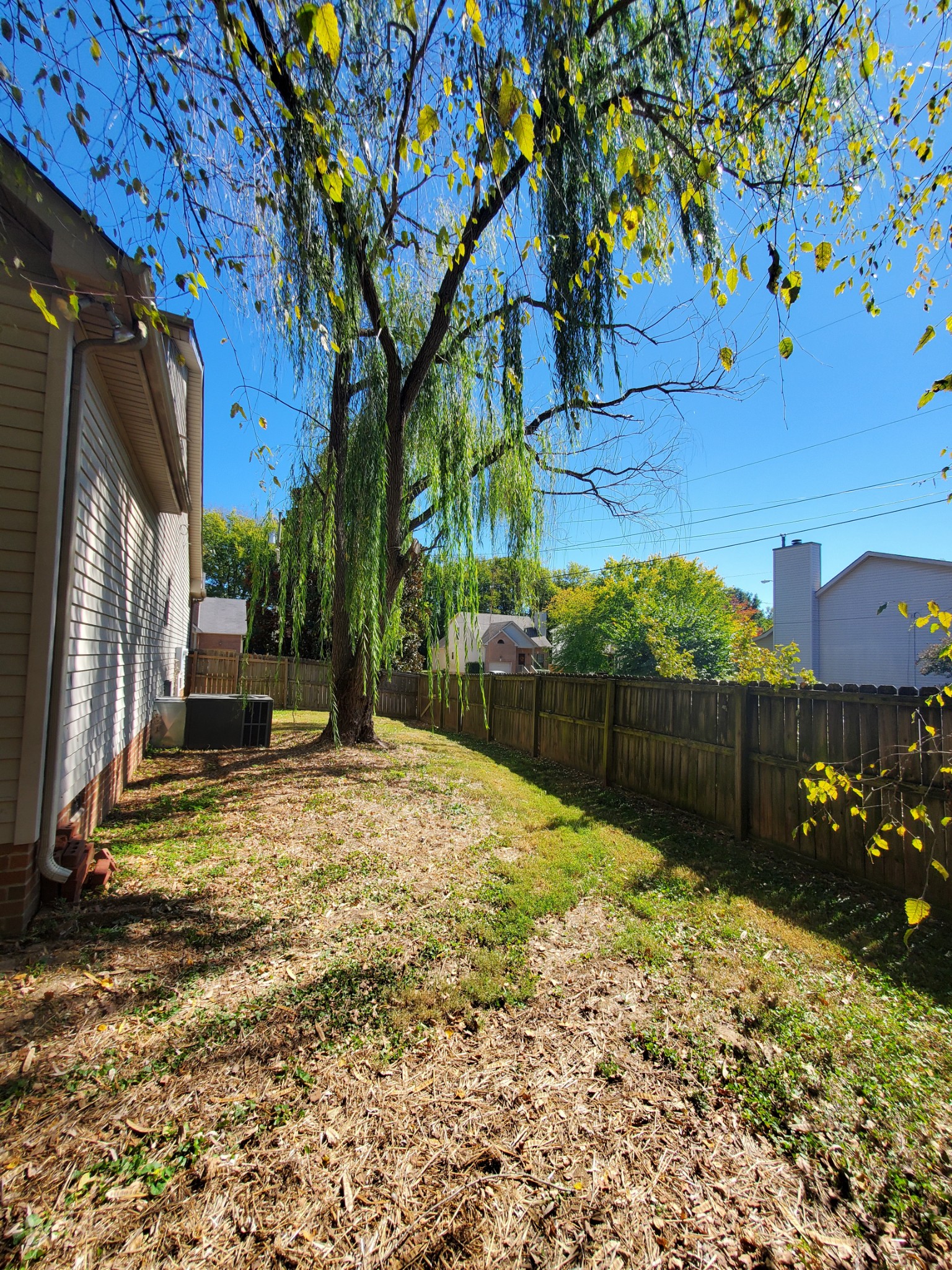 900 Dove Ridge Circle Nashville, TN 37221 - Photo 22 of 24 a view of a backyard of the house