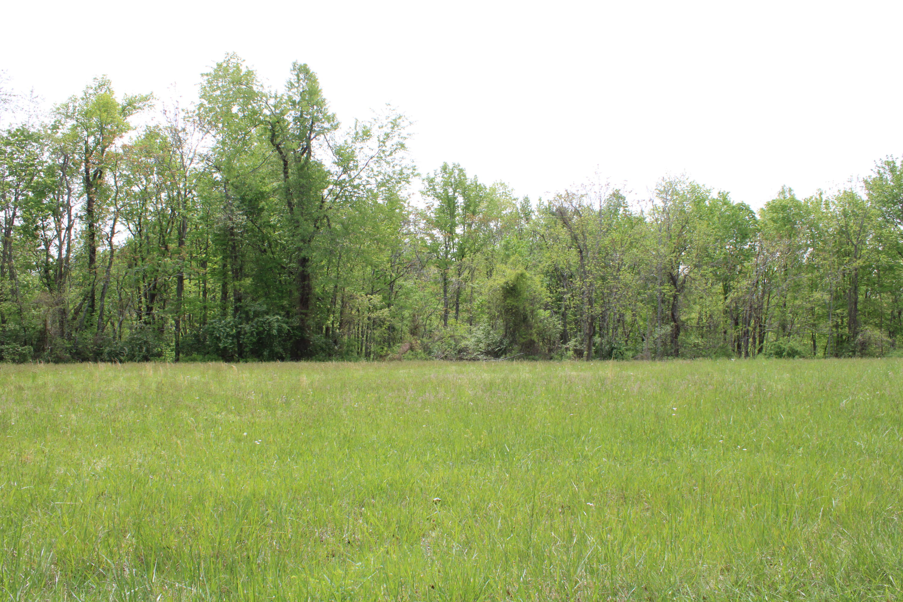 5004 Chestnut Flat Road McKee, KY 40447 - Photo 4 of 7 IMG_1390