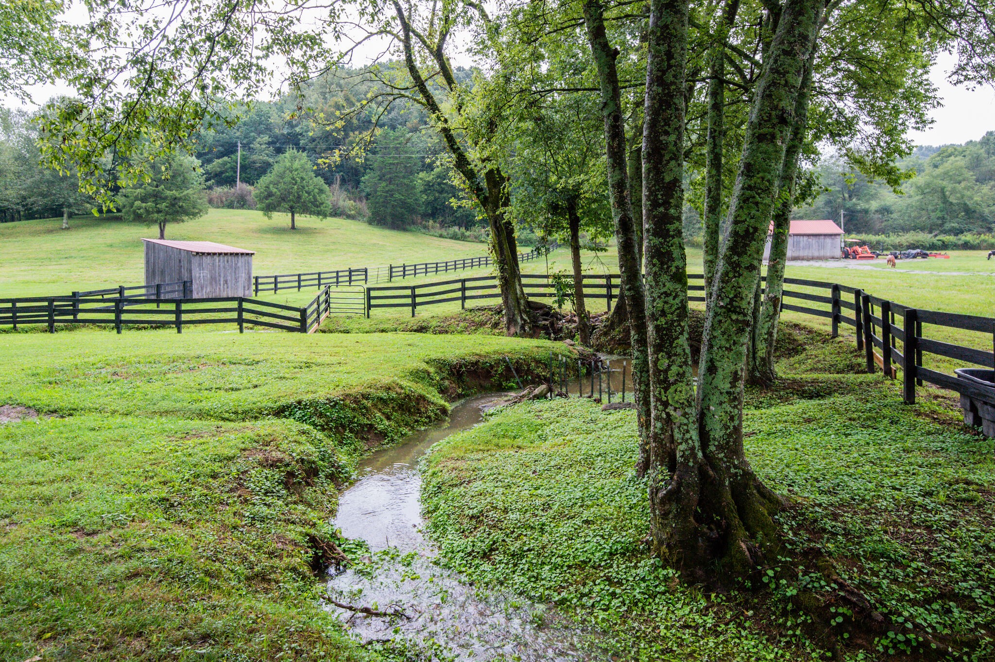 3910 Sparkman Road Thompson's Station, TN 37179 - Photo 45 of 50 Gallery Image 45
