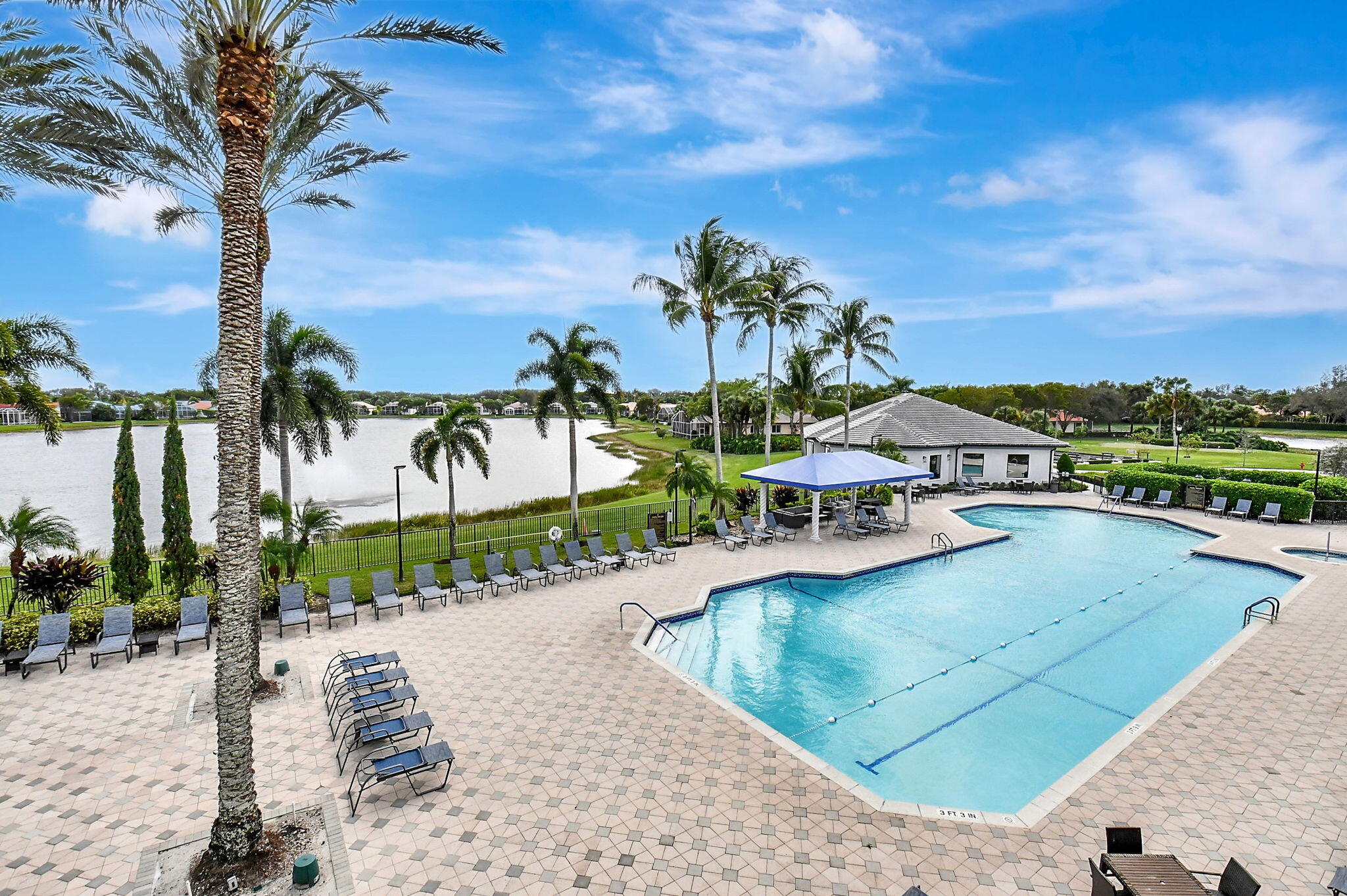 8286 Duomo Circle Boynton Beach, FL 33472 - Photo 61 of 79 a view of a swimming pool with a lawn chairs under palm trees