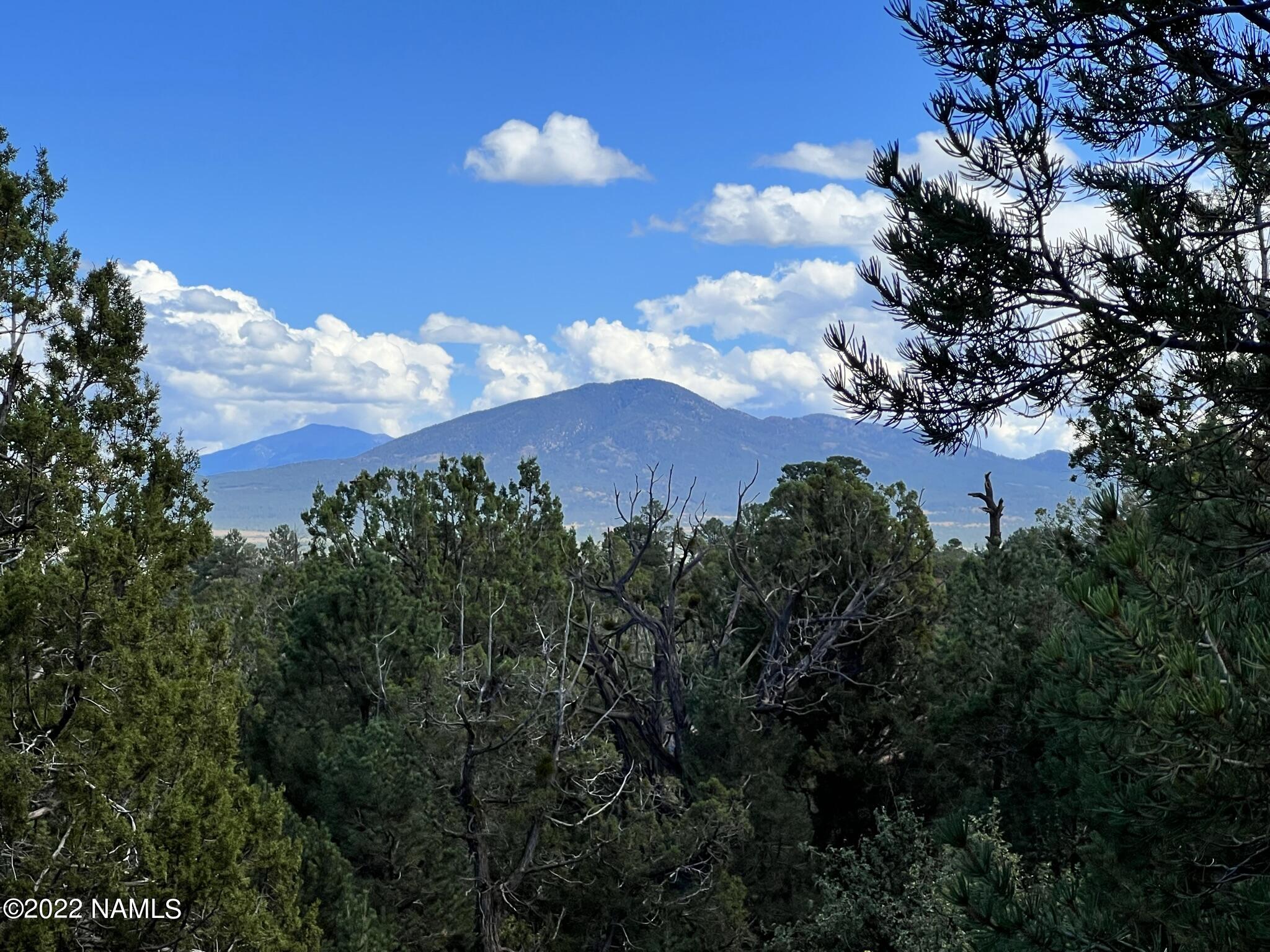 449 West Flushing Quail Road, Unit 7 Williams, AZ 86046 - Photo 1 of 41 449 W Flushing Quail