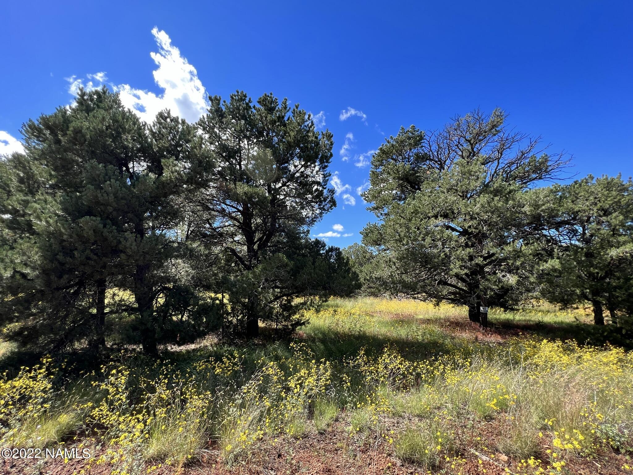 449 West Flushing Quail Road, Unit 7 Williams, AZ 86046 - Photo 23 of 41 IMG_5264
