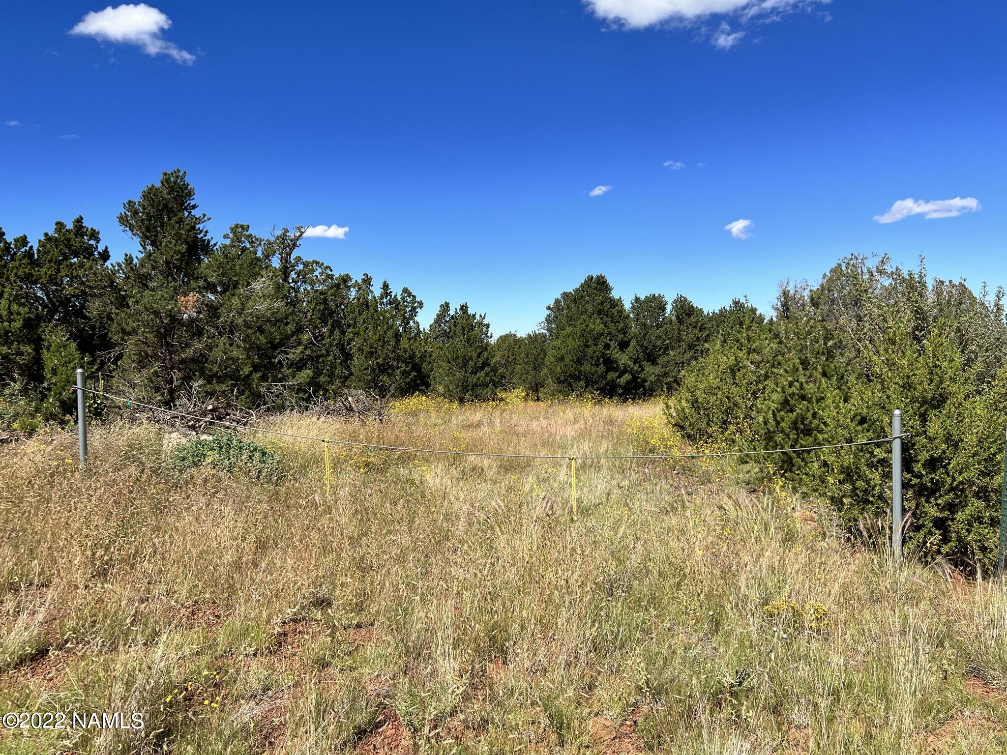 449 West Flushing Quail Road, Unit 7 Williams, AZ 86046 - Photo 29 of 41 IMG_5271