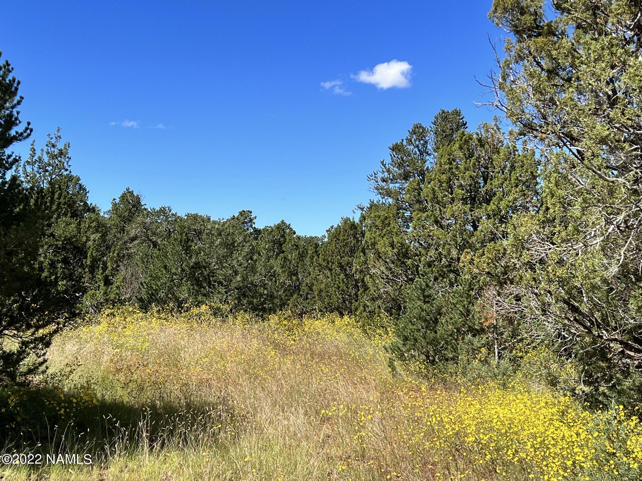 449 West Flushing Quail Road, Unit 7 Williams, AZ 86046 - Photo 9 of 41 IMG_5250