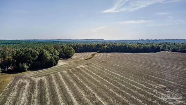 a view of terrace with a garden