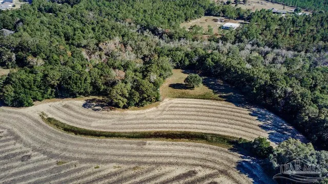 a view of a yard with plants