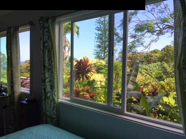 1010 Nahiku Road Hana, HI 96713 - Photo 6 of 13 a view of a window