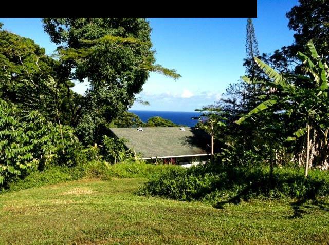 1010 Nahiku Road Hana, HI 96713 - Photo 10 of 13 a view of a garden