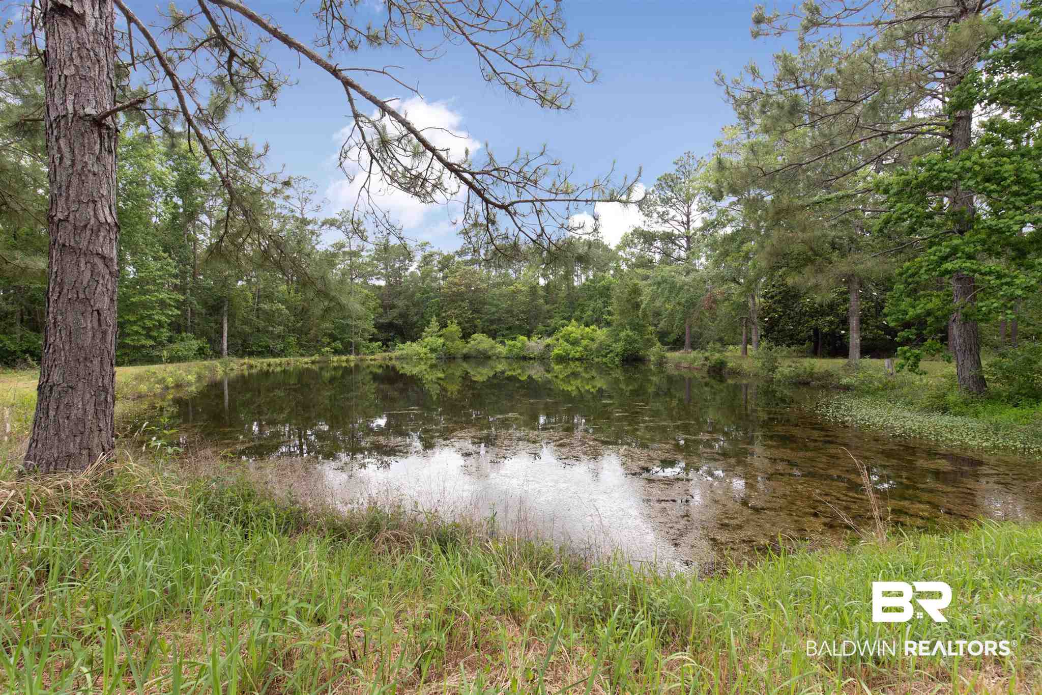 5015 Dawes Road Theodore, AL 36582 - Photo 30 of 44