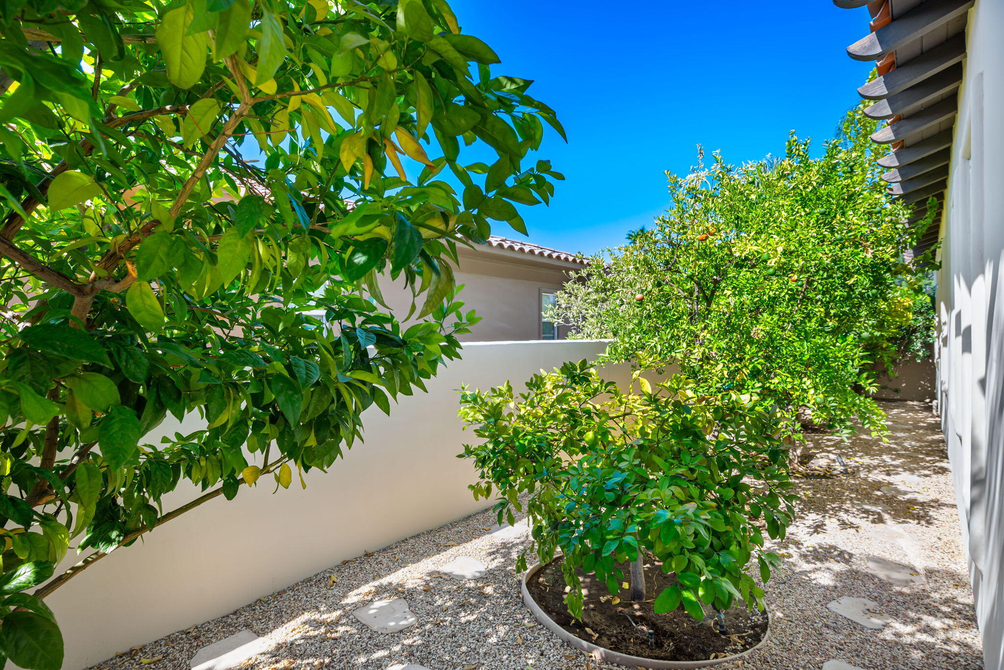 326 Loch Lomond Road Rancho Mirage, CA 92270 - Photo 28 of 43 43-web-or-mls-JBLoch_OPMG_0825_043