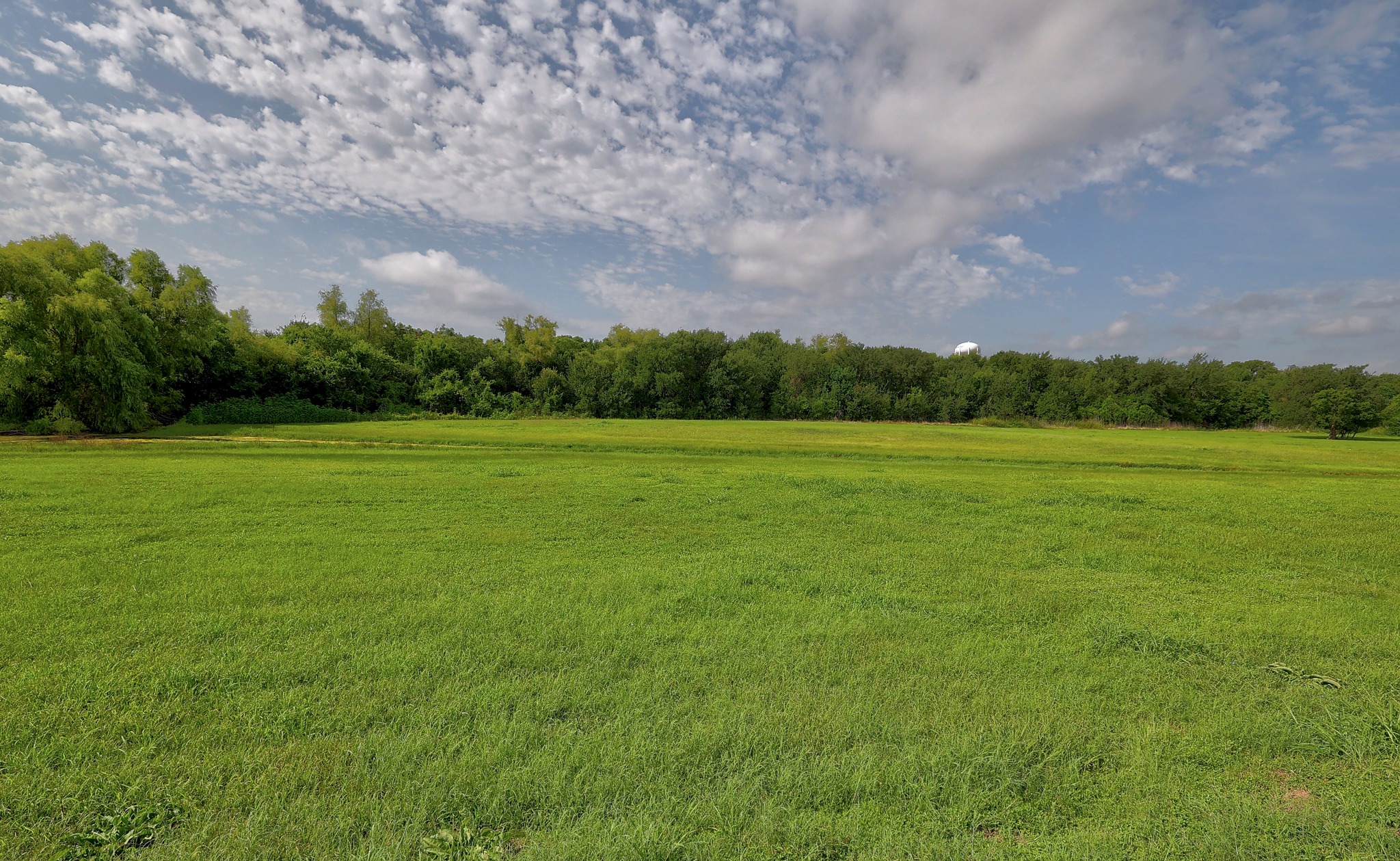 1621 Apollo Circle Round Rock, TX 78664 - Photo 27 of 27