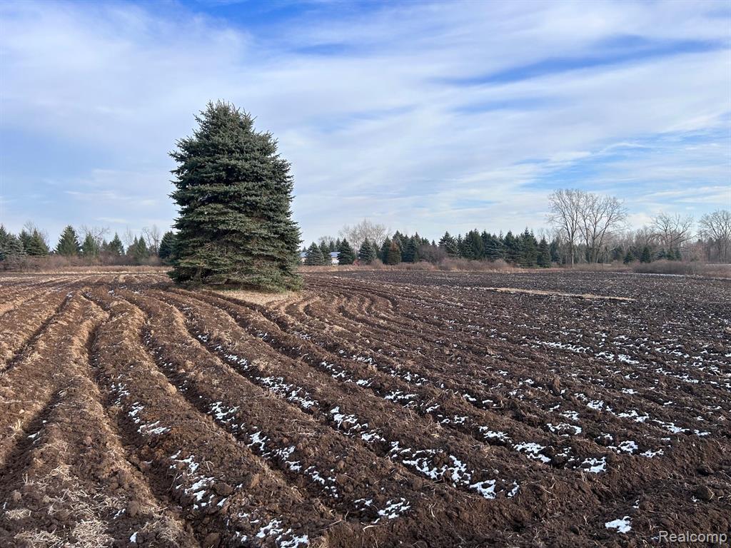 Vl Vl Suewier Road Applegate, MI 48401 - Photo 11 of 11