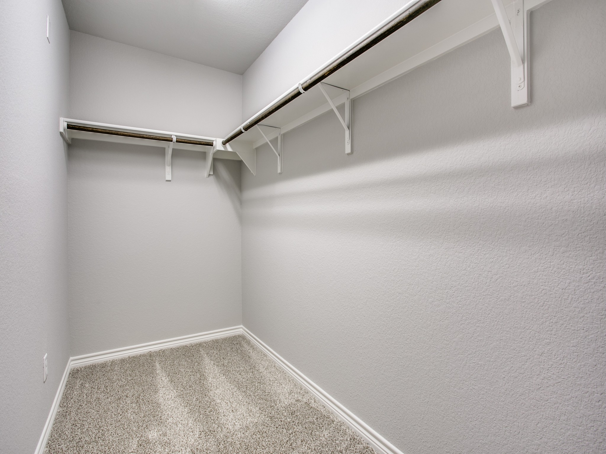 508 Rearing Mare Pass Georgetown, TX 78626 - Photo 17 of 26 Walk in closet featuring carpeted floors