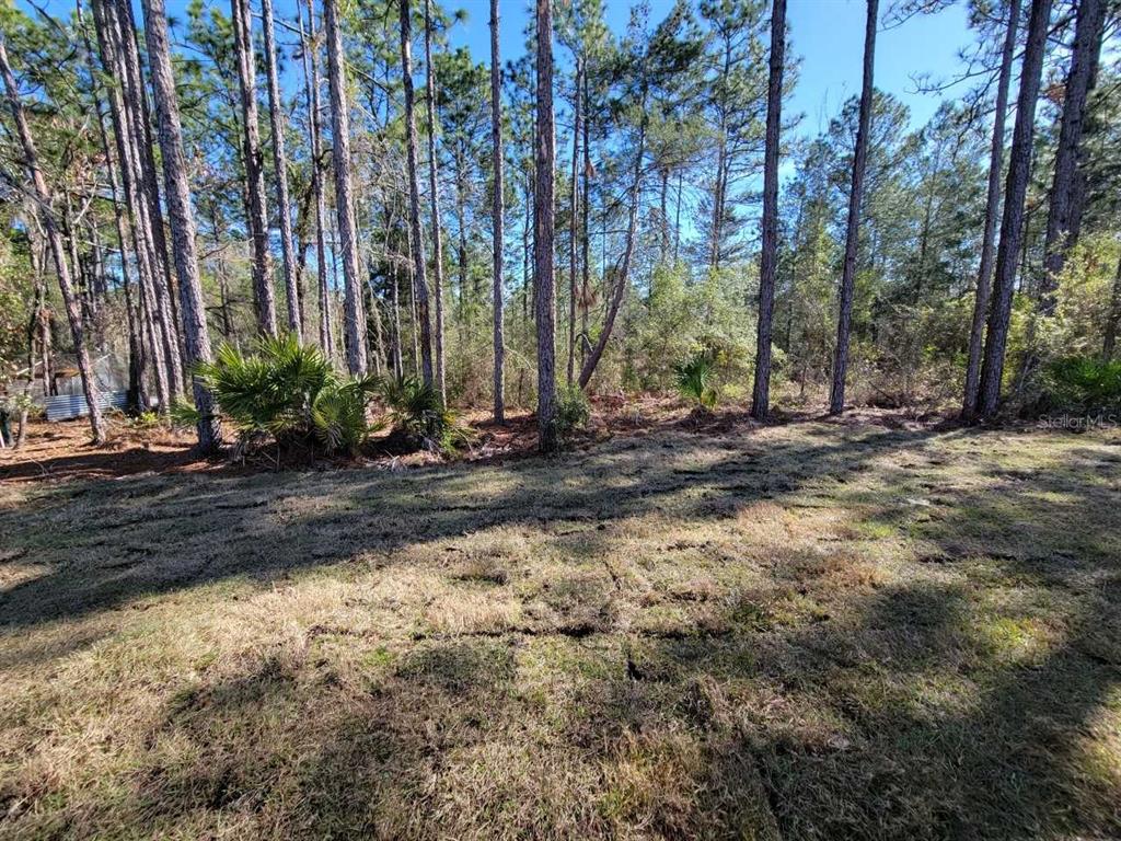 7035 Southwest 131st Loop Ocala, FL 34473 - Photo 26 of 28 a view of a house with a yard