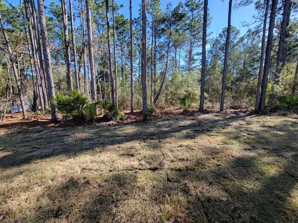 7035 Southwest 131st Loop Ocala, FL 34473 - Photo 27 of 28 a backyard of a house with lots of green space