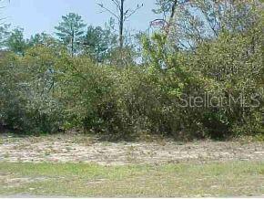 Lot 39 Southwest Lot Road Ocala, FL 34473 - Photo 1 of 1 Primary Photo