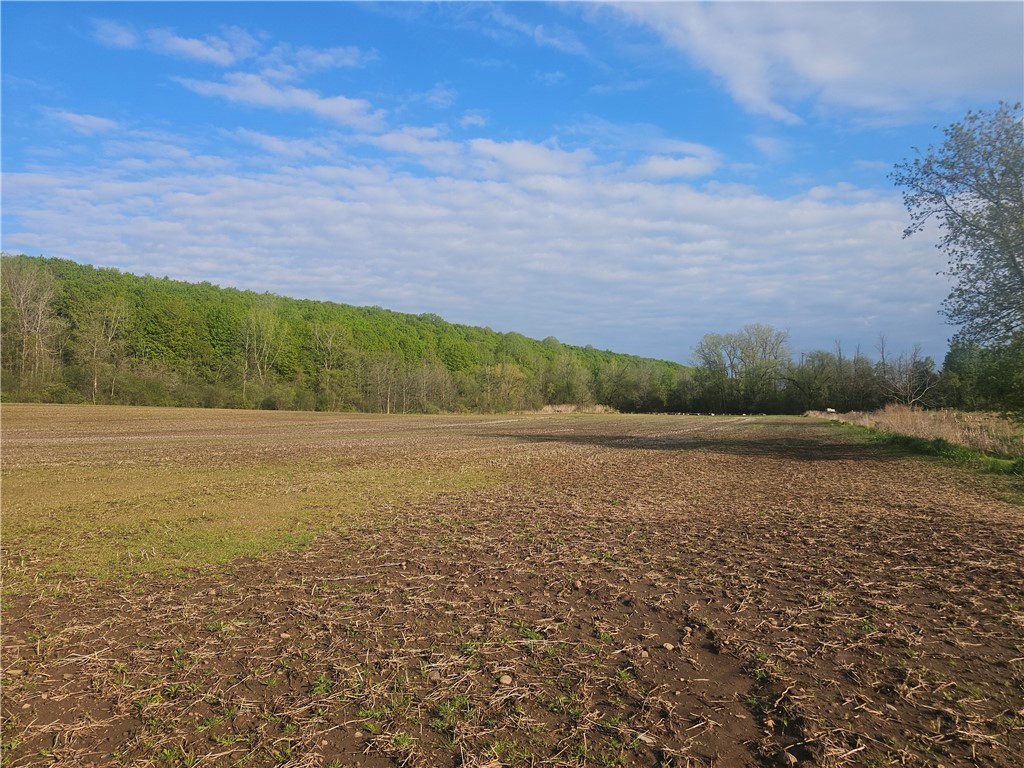 1537 Tyre ( Entire Parcel) Road Clyde, NY 14433 - Photo 9 of 39