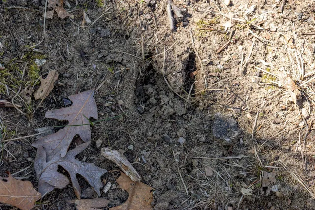 $214,500 | 14714 Myers Lake Avenue Northeast, Cedar Springs, MI 49319