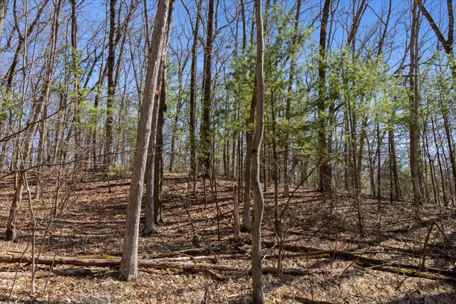 $214,500 | 14714 Myers Lake Avenue Northeast, Cedar Springs, MI 49319