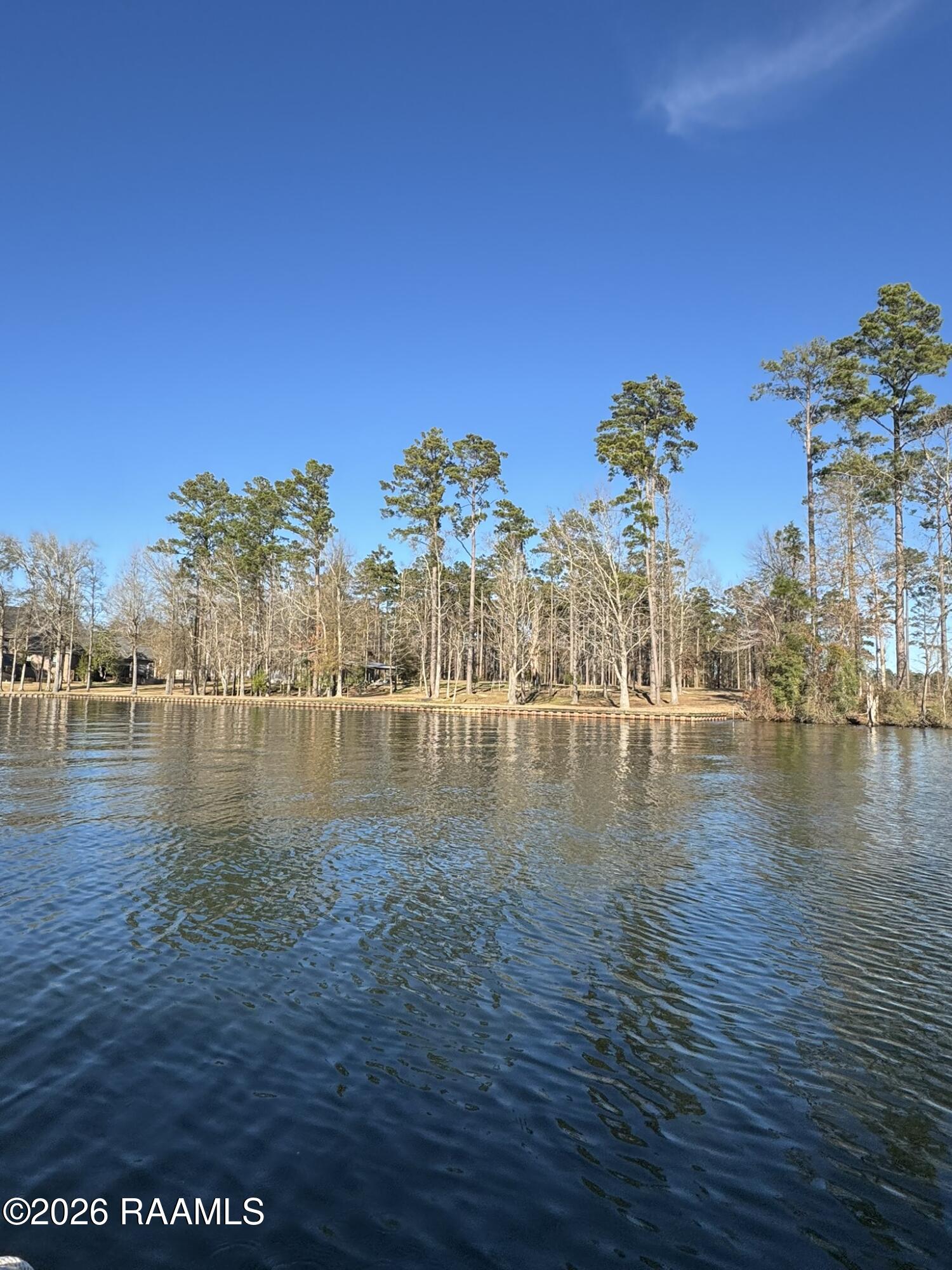 Lot 11 Ramsey Road Chatham, LA 71226 - Photo 3 of 5 IMG_0920