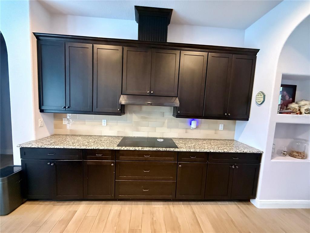 13110 Bamboo Street Spring Hill, FL 34609 - Photo 9 of 56 a kitchen with granite countertop a sink and cabinets