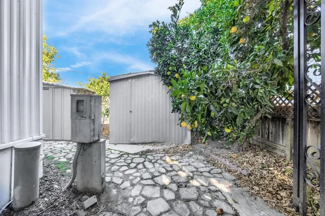 a view of a backyard with large trees and wooden fence