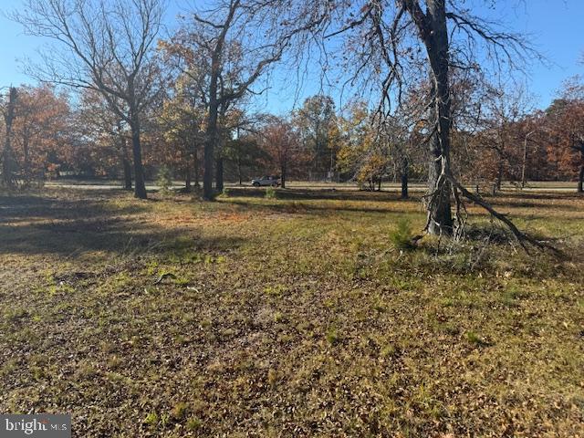 1469 North Mill Road Vineland, NJ 08360 - Photo 2 of 2 a view of a yard with large trees