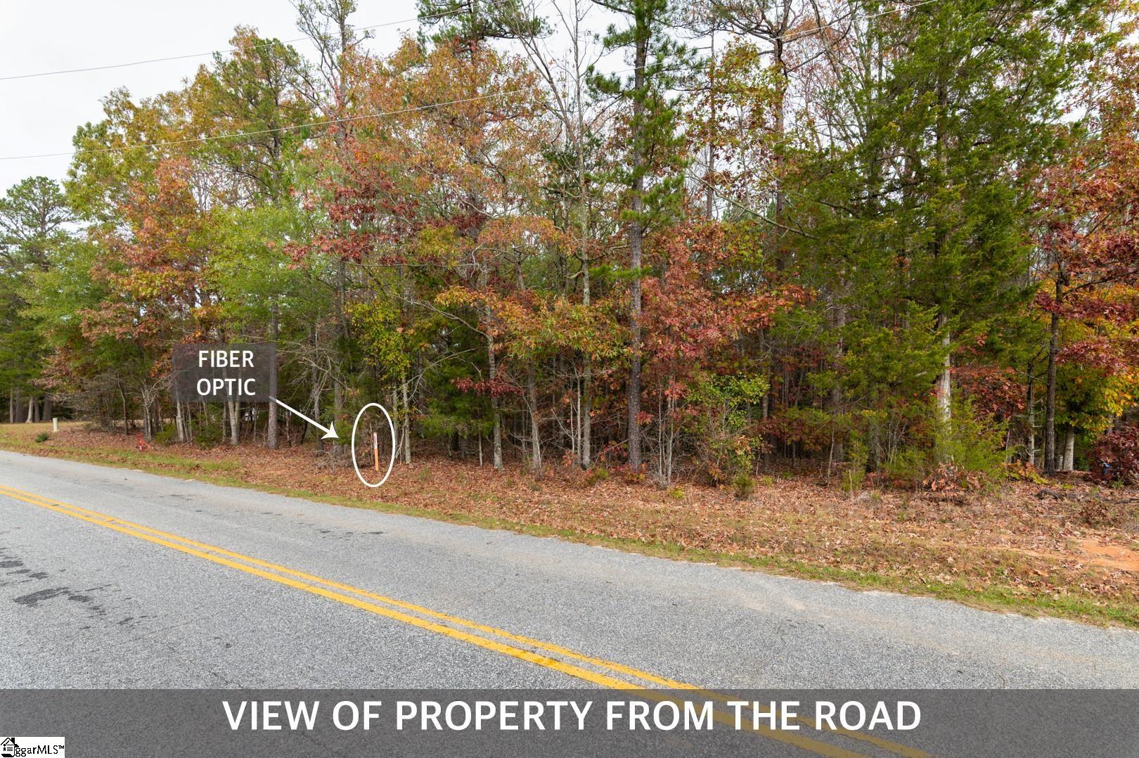 0 Langston Road Laurens, SC 29360 - Photo 33 of 36 Gallery Image 33