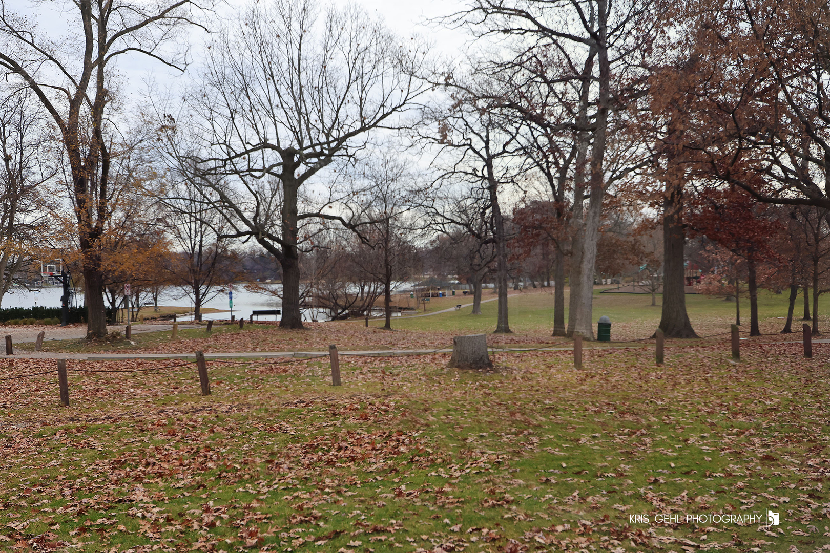 18653 West Willow Point Road Grayslake, IL 60030 - Photo 36 of 49 a view of outdoor space with trees