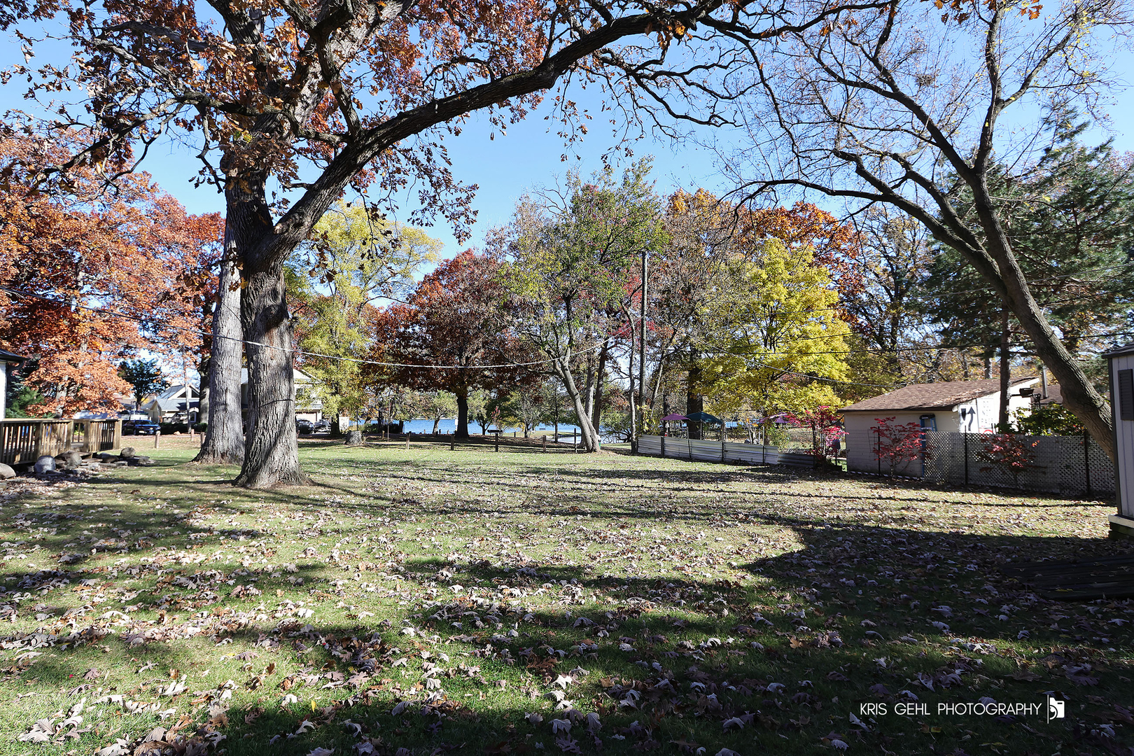 18653 West Willow Point Road Grayslake, IL 60030 - Photo 41 of 49 a view of a yard with large trees