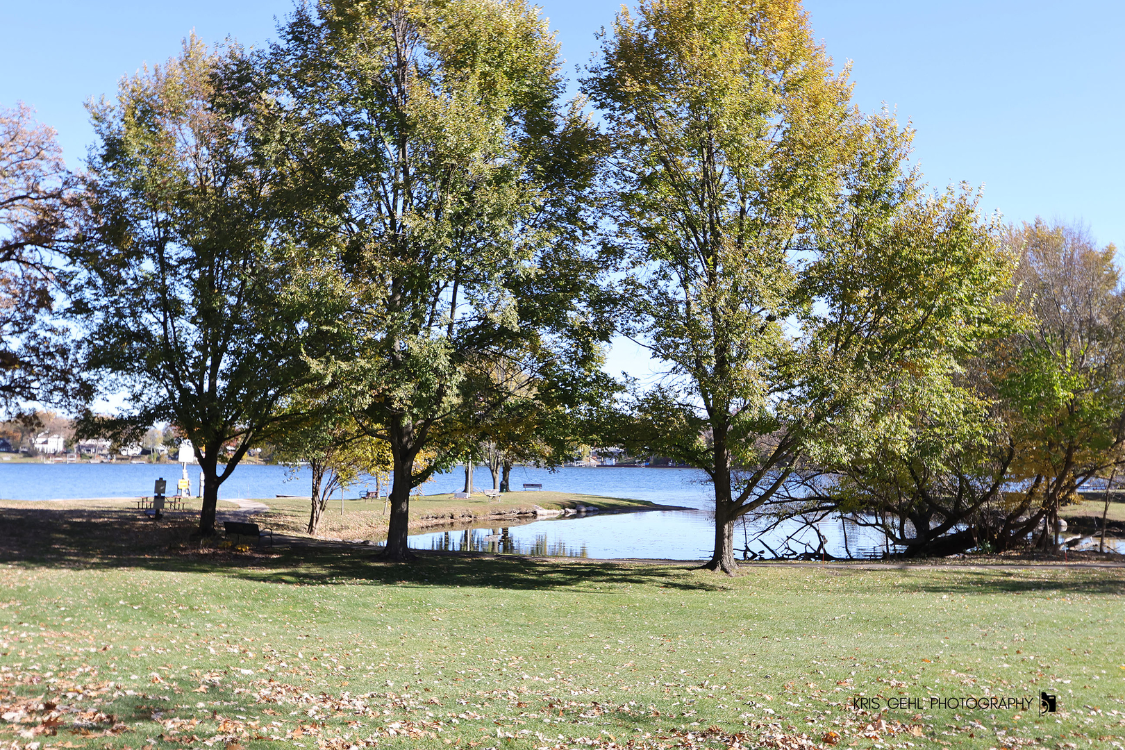 18653 West Willow Point Road Grayslake, IL 60030 - Photo 43 of 49 a view of a yard with plants