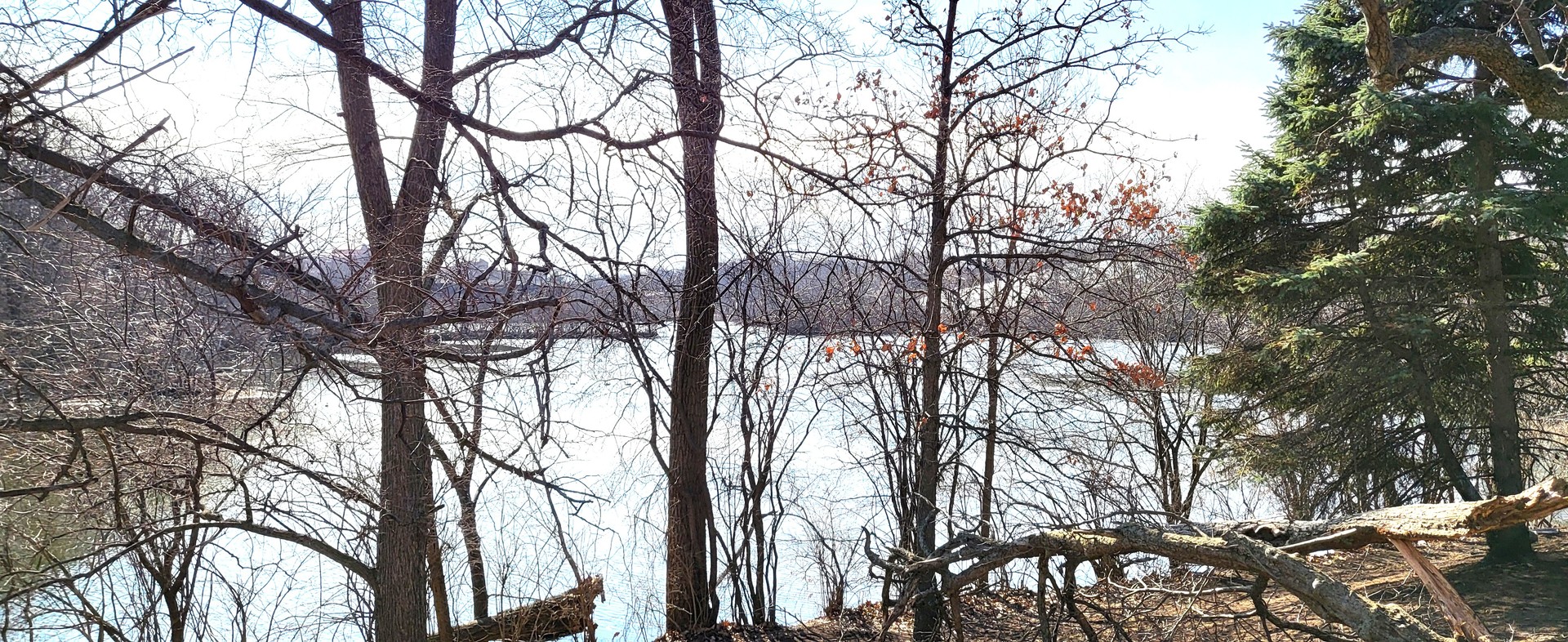 1607 Maple Terrace, Unit 2D Lisle, IL 60532 - Photo 18 of 24