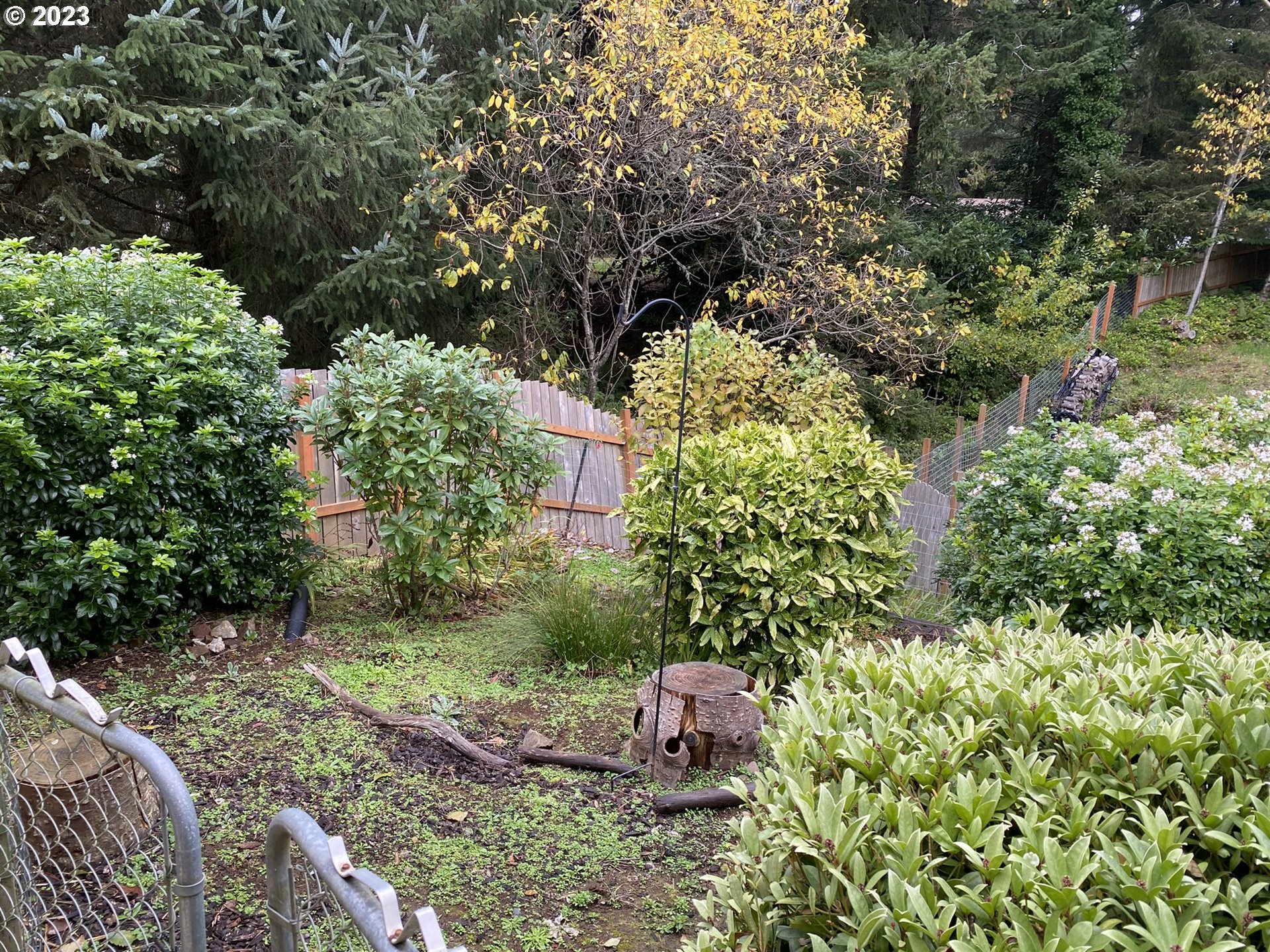 4863 Darlings Loop Florence, OR 97439 - Photo 28 of 47 a backyard of a house with lots of green space