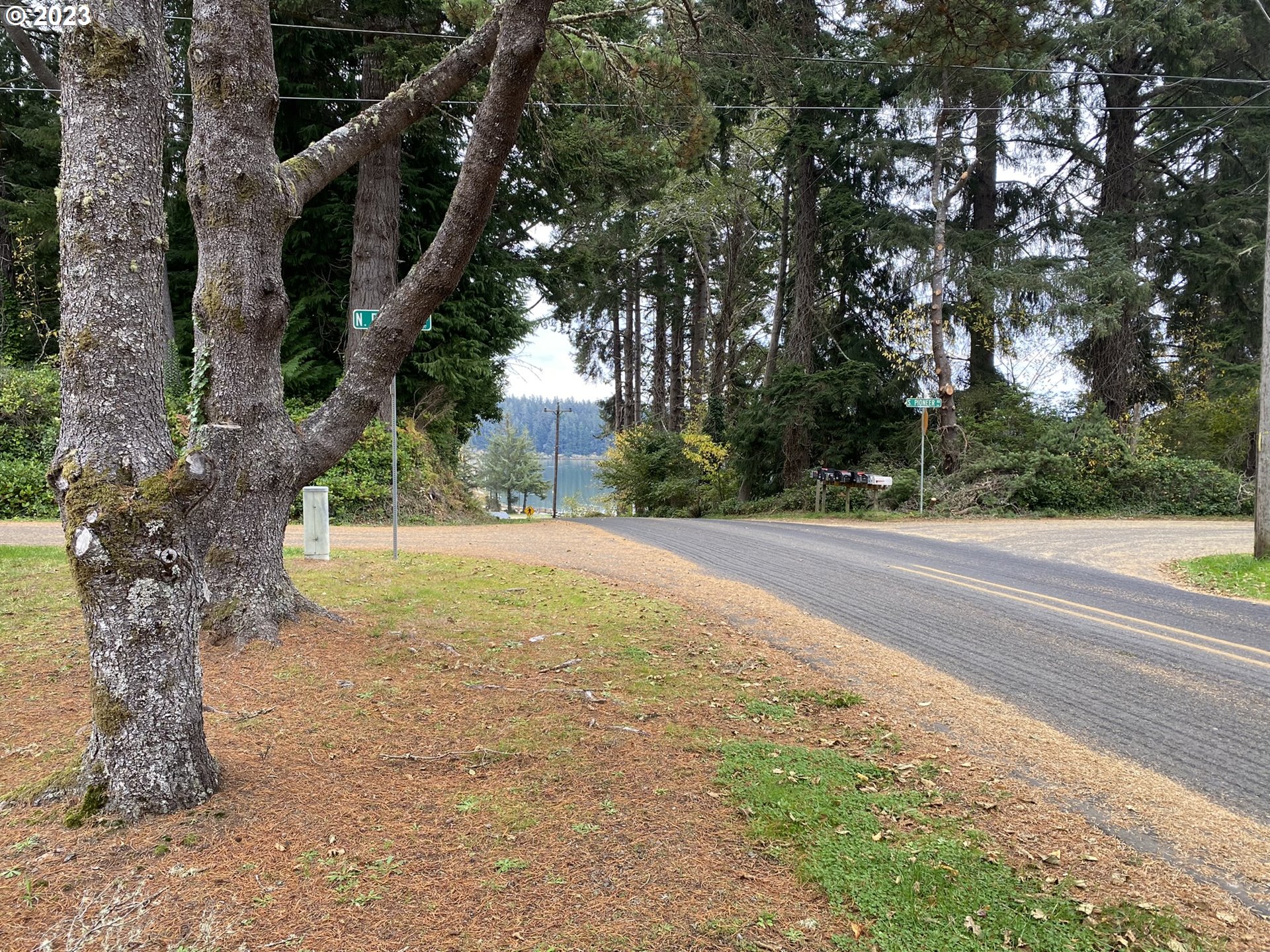 4863 Darlings Loop Florence, OR 97439 - Photo 47 of 47 a view of street with large trees
