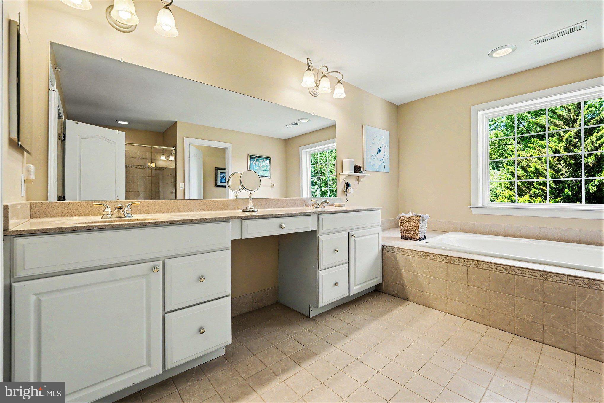 3836 Taylortown Road Furlong, PA 18925 - Photo 47 of 60 Master Bathroom