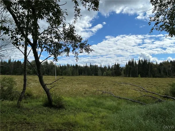 $225,000 | 1406 Gray-Wilmurt Road, Ohio, NY 13324