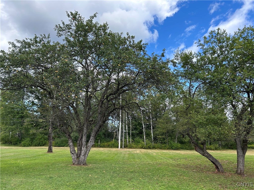 1406 Gray-Wilmurt Road Ohio, NY 13324 - Photo 6 of 9